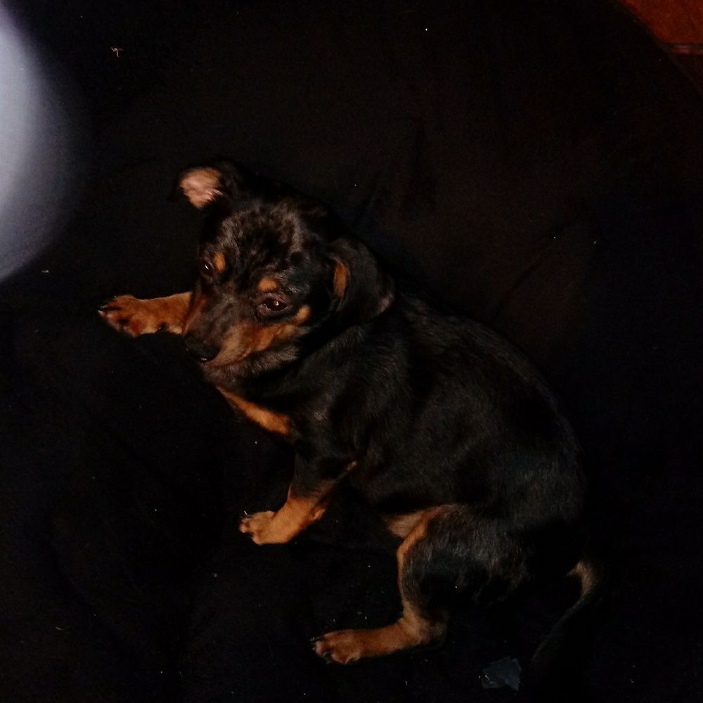 Meet your Posher, Christina